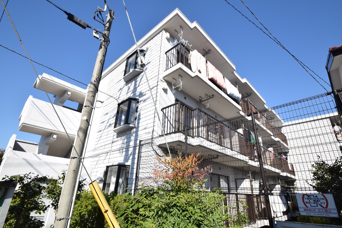 グレートサクシー